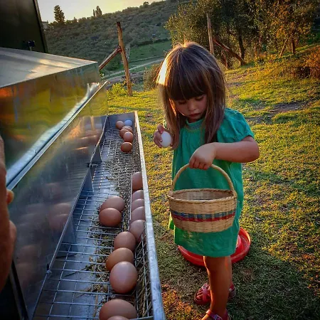 Lantställe Fattoria Di Maiano *