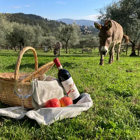 Fattoria Di Maiano Casa di campagna