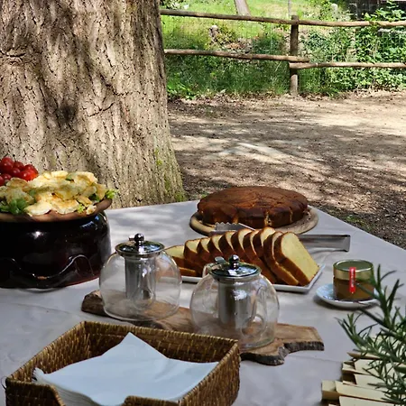 Fattoria Di Maiano * 피에솔레