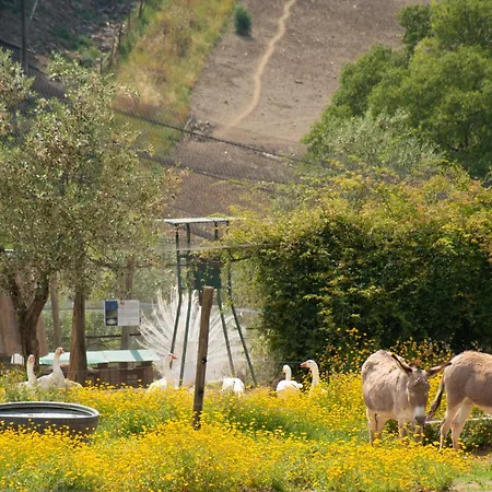 Fattoria Di Maiano * 피에솔레