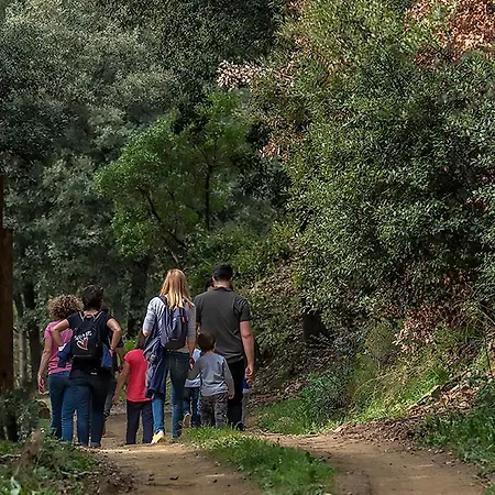 Fattoria Di Maiano Fiesole