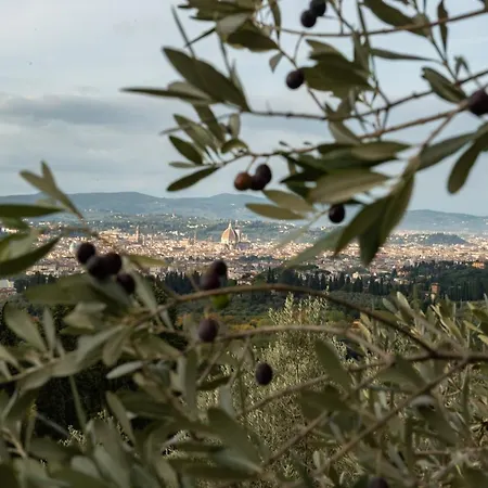 Fattoria Di Maiano Country house