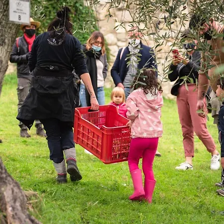 Fattoria Di Maiano * Fiesole