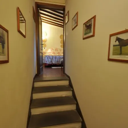 Fattoria Di Maiano *