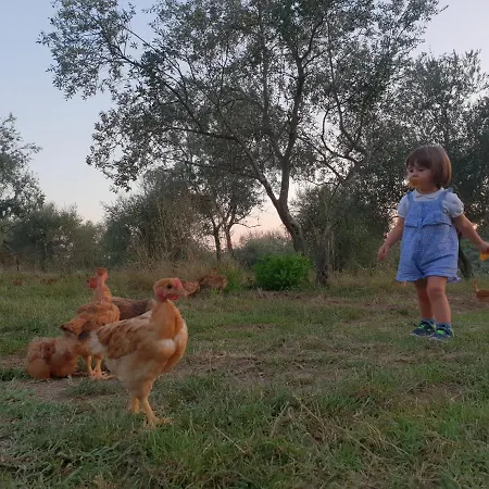 Fattoria Di Maiano Country house *